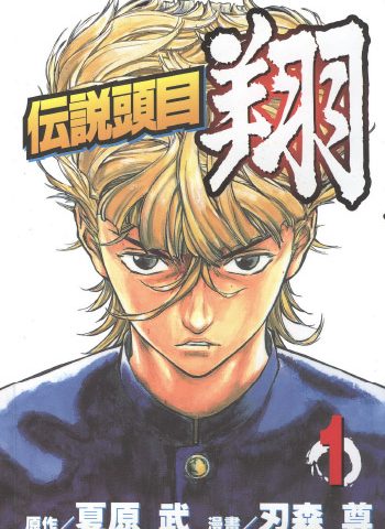 《传说头目翔》刃森尊创作 JPG【HD】版电子漫画【01-11卷完结】—–Kindle/JPG/Mobi/PDF大向-DXSC18大向